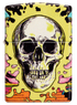 Zippo vžigalnik 48640 Psychedelic Skull